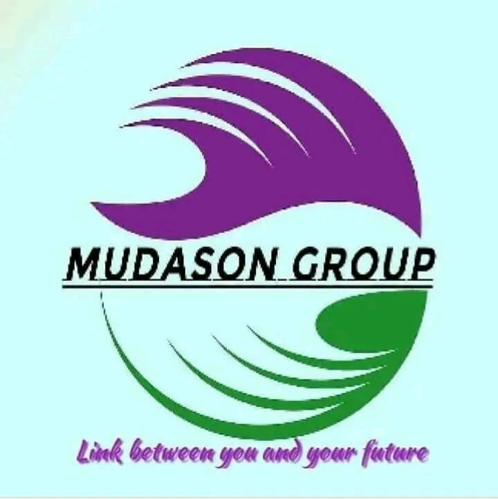 Mudason investment limited